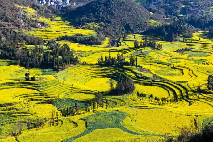 云南6.jpg 云南6.jpg