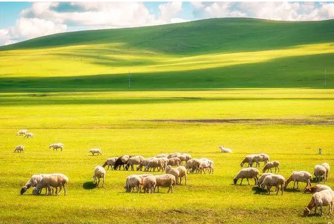 内蒙古明安草原3.png 内蒙古明安草原3.png