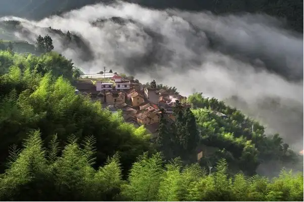 浙江松阳.png 浙江松阳.png