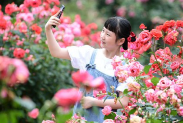 初夏“花经济”.png 初夏“花经济”.png