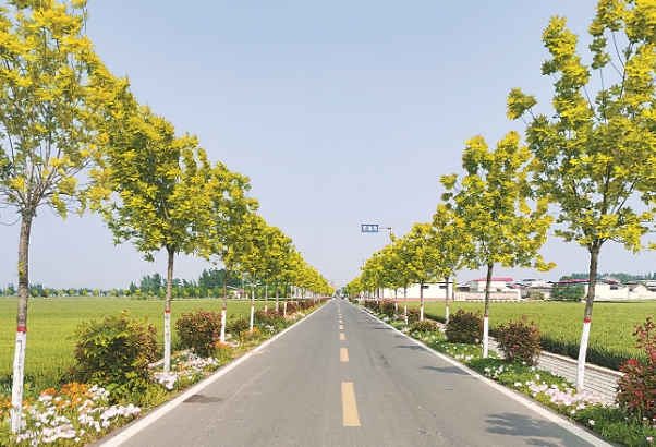 路肩.png 路肩.png