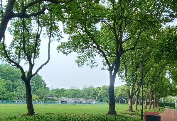 上海.png