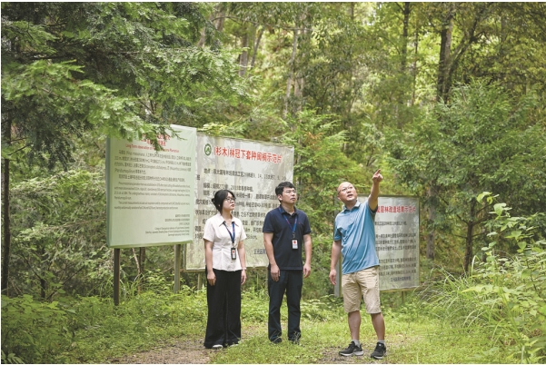 福建省三明市三元.png