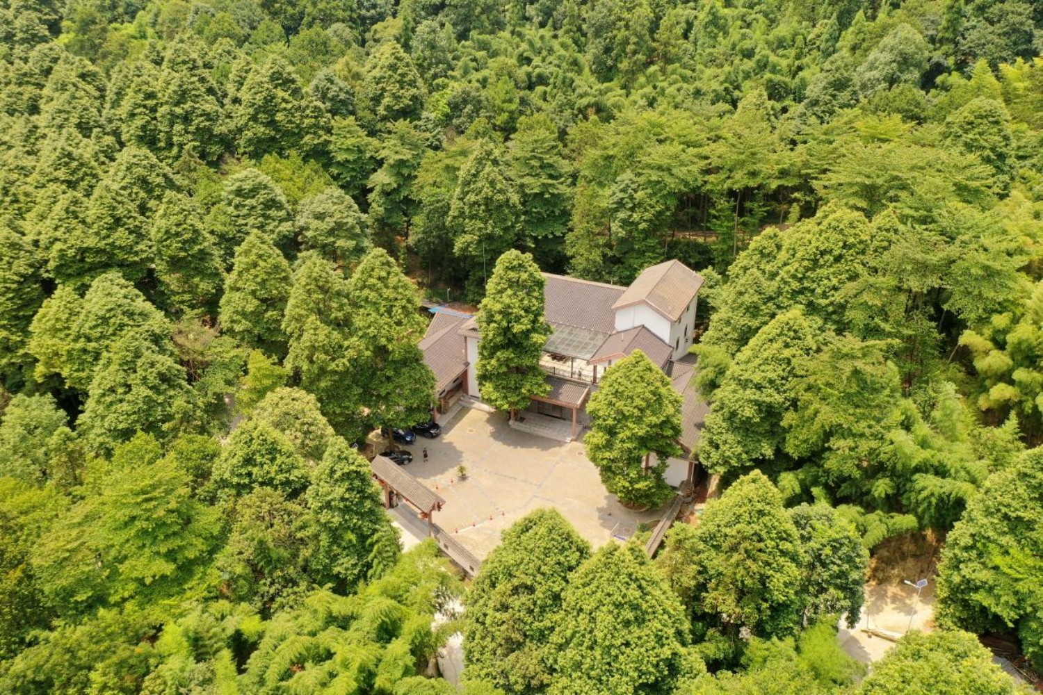 永川区桢楠国家林木种质资源库.jpg 永川区桢楠国家林木种质资源库.jpg