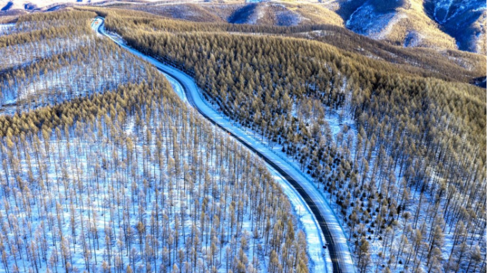 冰雪覆盖下的塞罕坝百万亩林海 林.png