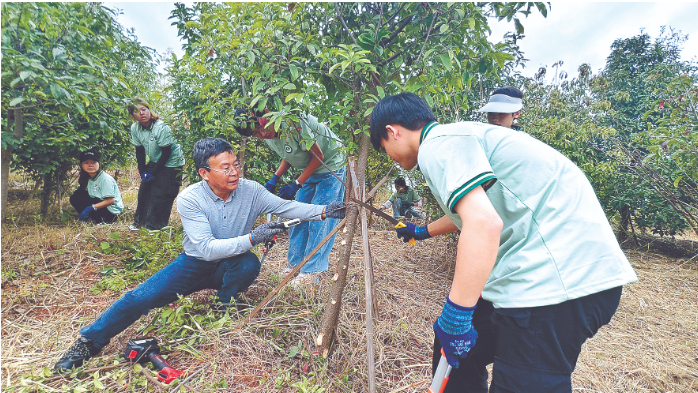 学生参与树木的抚育管护.png 学生参与树木的抚育管护.png