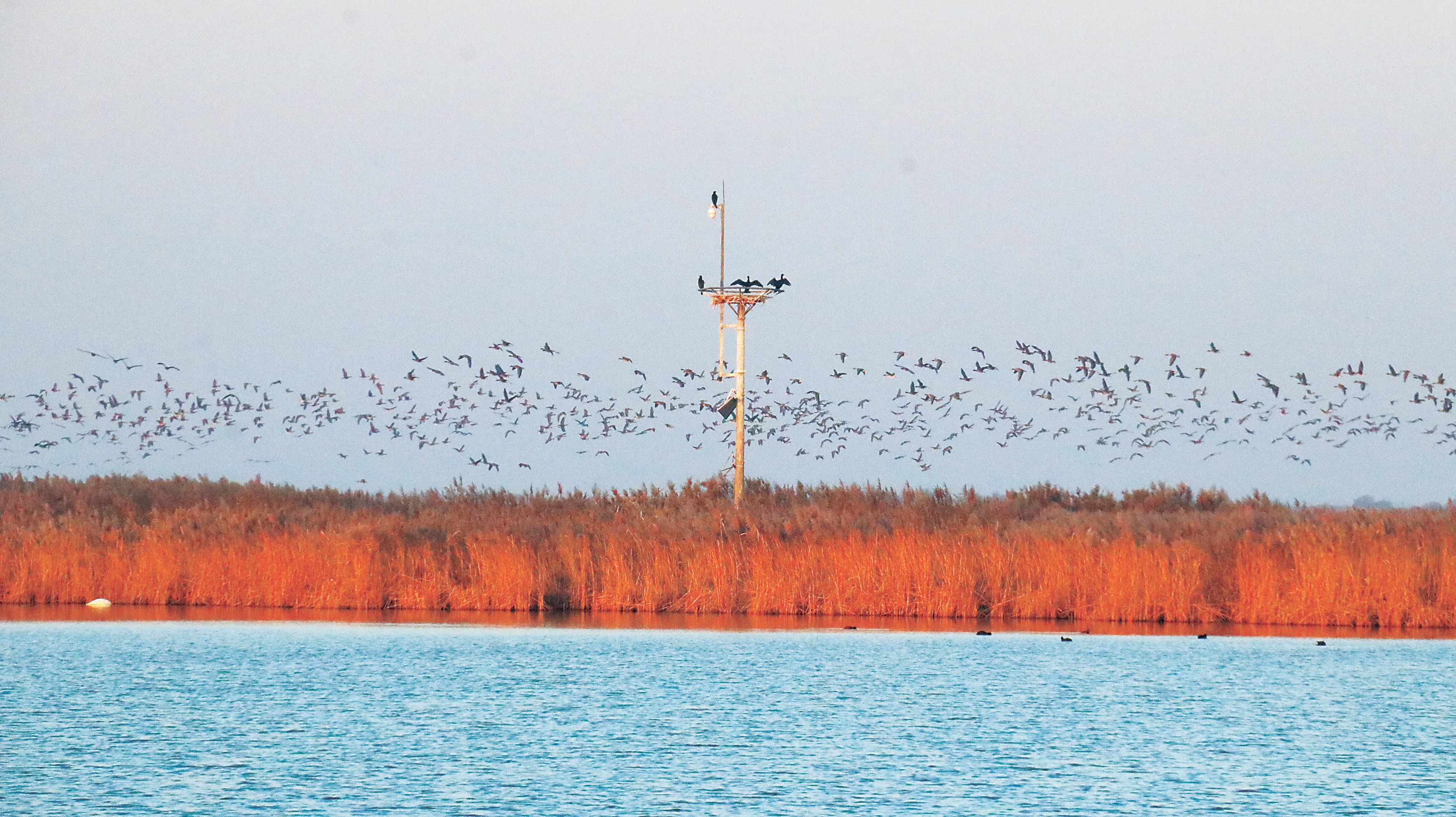 25085721wtje.jpg 25085721wtje.jpg