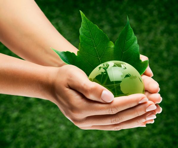 低碳11.jpg 低碳11.jpg