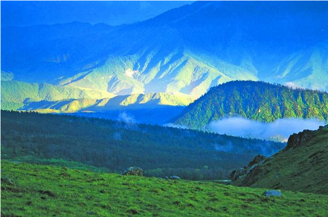 四川凉山的2.png 四川凉山的2.png