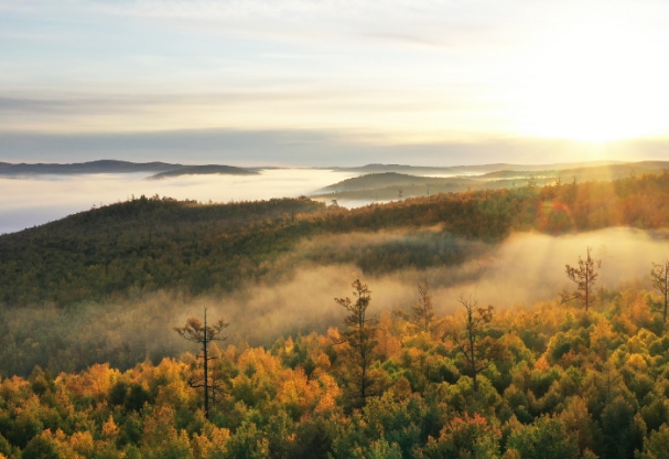 大兴安岭的66.png 大兴安岭的66.png