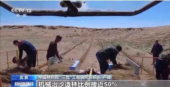 卢琦.png