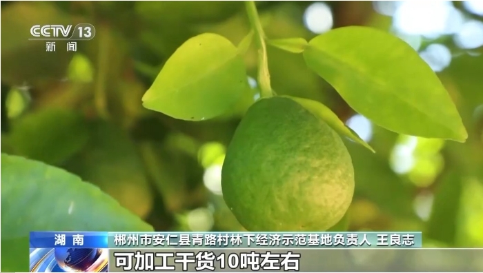 湖南省郴州市安仁县青路村.png