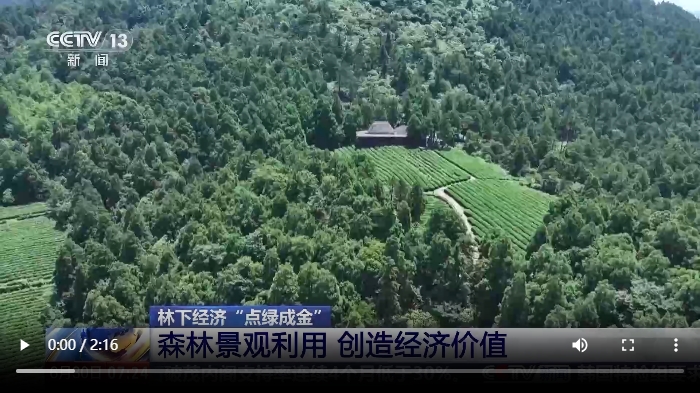 位于浙江天台县的华顶.png