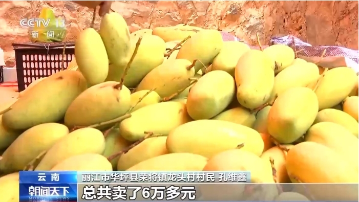 云南省丽江市华坪县荣.png