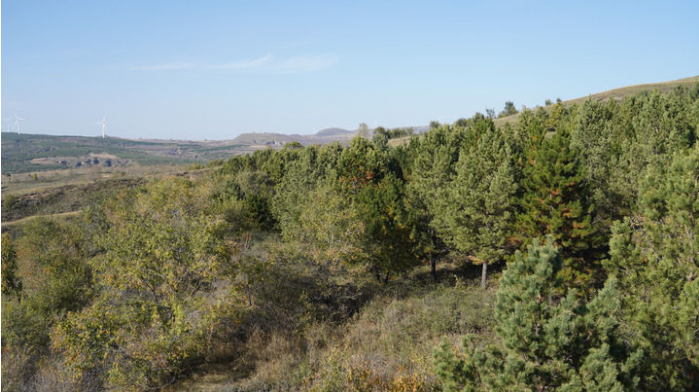 右玉县一处青翠的山梁(2.png 右玉县一处青翠的山梁(2.png