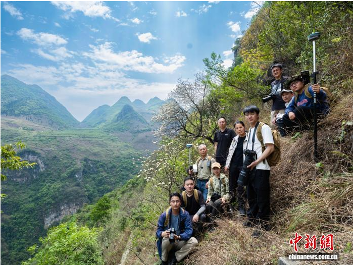 2025年4月20日,调查队在贵州.png 2025年4月20日,调查队在贵州.png