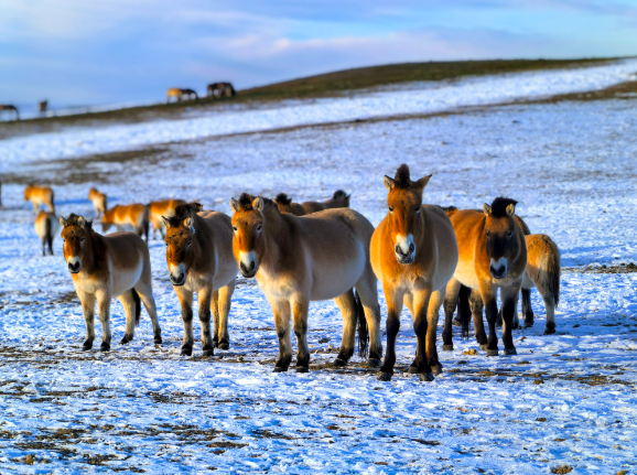 来源:中国环境APP 作者:杨涛利.png 来源:中国环境APP 作者:杨涛利.png