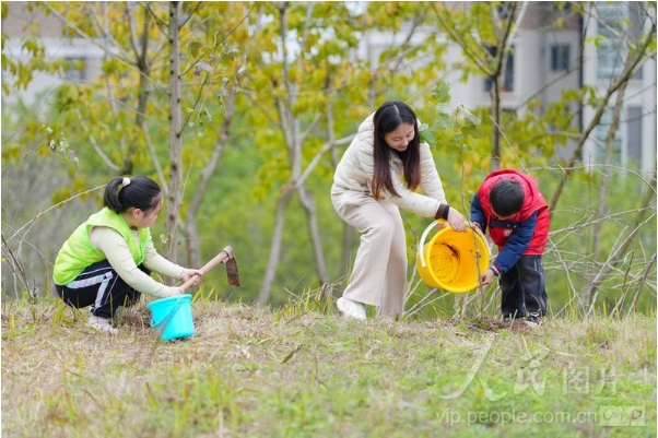 植树活动的图8.png 植树活动的图8.png