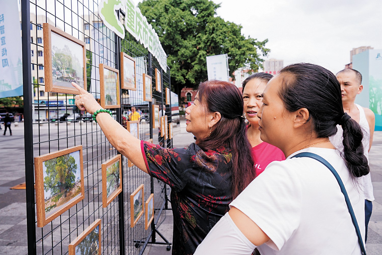 市民观看古树摄影展 重庆市.jpg