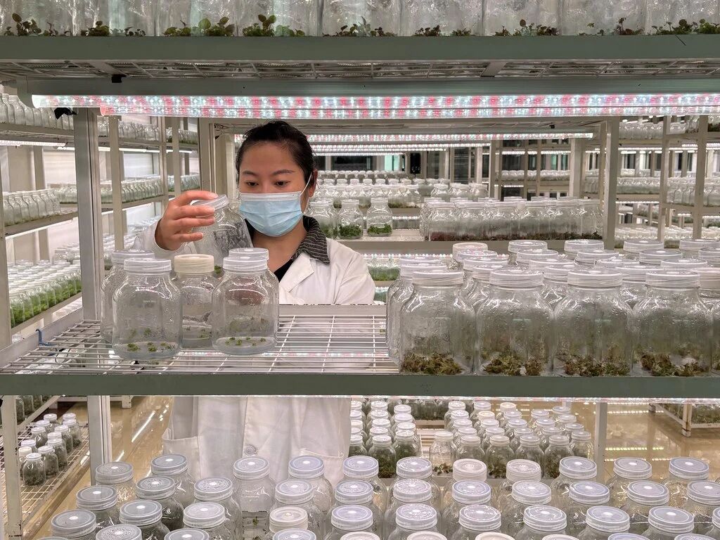 1月29日,在石家庄市植物园.jpg 1月29日,在石家庄市植物园.jpg