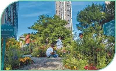北京市通州区紫荆雅园社区微花园.jpg 北京市通州区紫荆雅园社区微花园.jpg