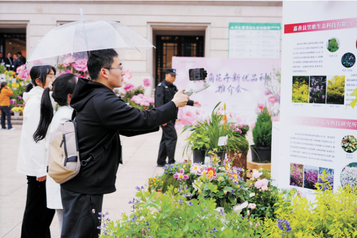推介会现场 上海市绿化和市容管理局供图.png