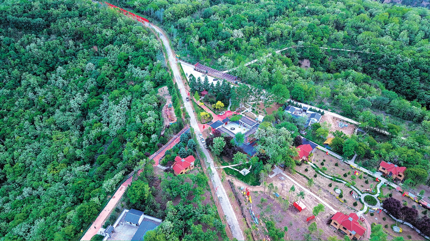 “五一”期间，官山林场打.jpg