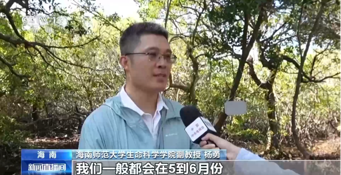 记者跟随科研人员往深处走22222.png