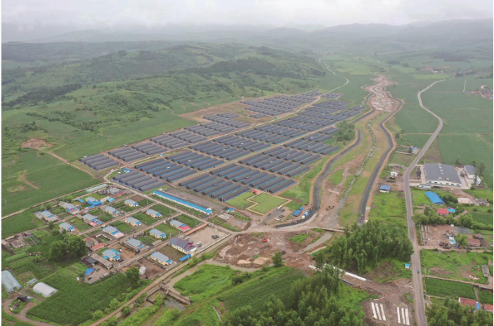 和龙市八家子镇桑黄种植基地。（.png